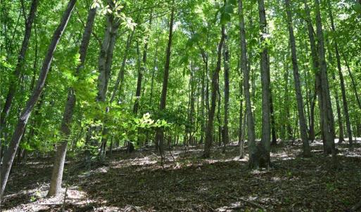 Photo #14 of Hilltop View, Germanton, NC 75.0 acres