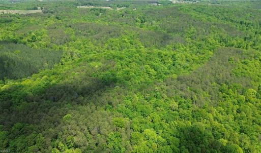 Photo #41 of Hilltop View, Germanton, NC 75.0 acres