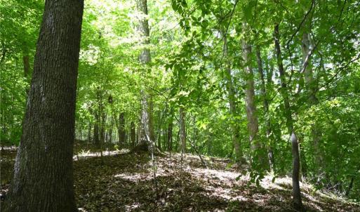 Photo #18 of Hilltop View, Germanton, NC 75.0 acres