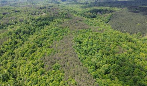 Photo #37 of Hilltop View, Germanton, NC 75.0 acres