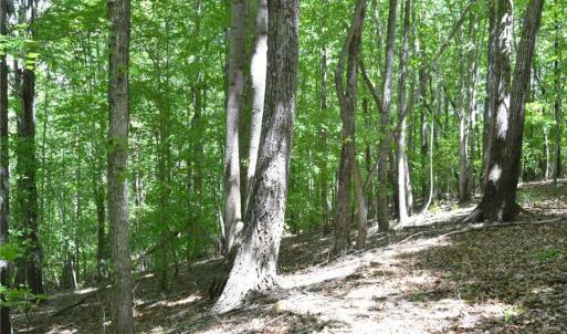 Photo #11 of Hilltop View, Germanton, NC 75.0 acres