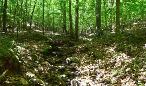 Photo #19 of Hilltop View, Germanton, NC 75.0 acres