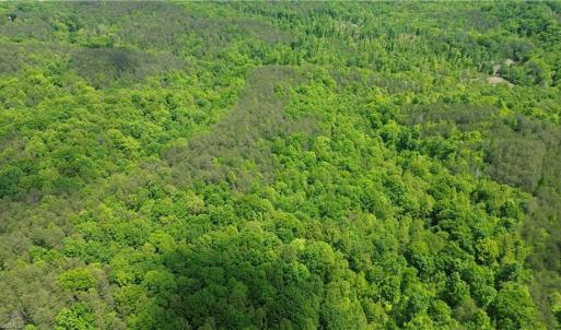 Photo #40 of Hilltop View, Germanton, NC 75.0 acres