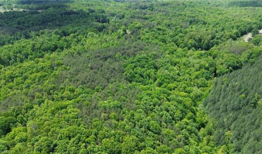 Photo #35 of Hilltop View, Germanton, NC 75.0 acres