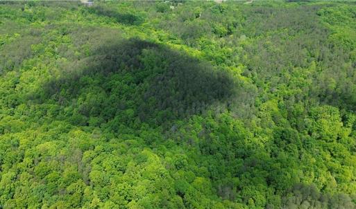 Photo #39 of Hilltop View, Germanton, NC 75.0 acres