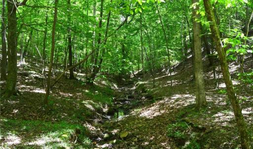 Photo #29 of Hilltop View, Germanton, NC 75.0 acres
