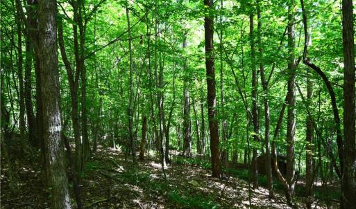 Photo #4 of Hilltop View, Germanton, NC 75.0 acres