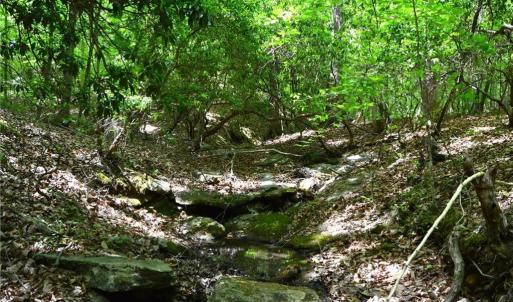 Photo #25 of Hilltop View, Germanton, NC 75.0 acres