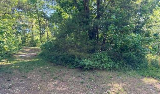 Photo #3 of 300 Jerome, Clemmons, NC 1.4 acres