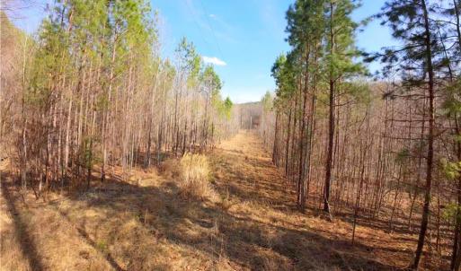 Photo #9 of NC Highway 66, Westfield, NC 8.7 acres