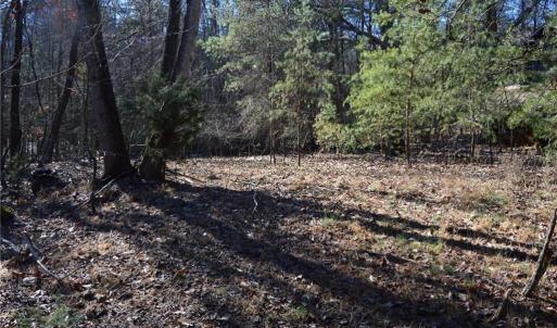 Photo #23 of 1344-1540 NC Highway 89, Danbury, NC 219.0 acres