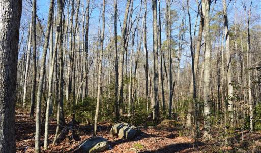 Photo #6 of 1344-1540 NC Highway 89, Danbury, NC 219.0 acres