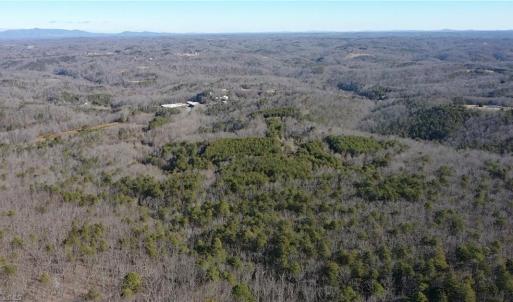 Photo #42 of 1344-1540 NC Highway 89, Danbury, NC 219.0 acres