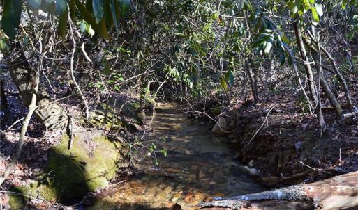 Photo #13 of 1344-1540 NC Highway 89, Danbury, NC 219.0 acres