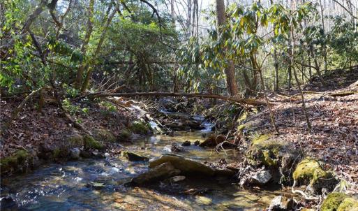 Photo #17 of 1344-1540 NC Highway 89, Danbury, NC 219.0 acres