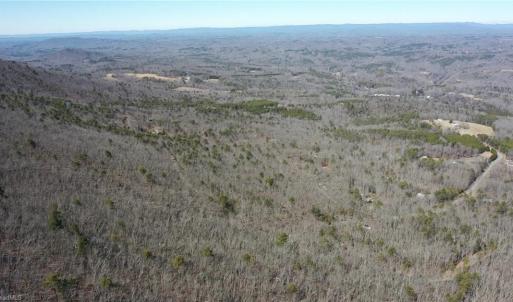 Photo #43 of 1344-1540 NC Highway 89, Danbury, NC 219.0 acres