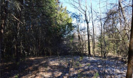 Photo #22 of 1344-1540 NC Highway 89, Danbury, NC 219.0 acres
