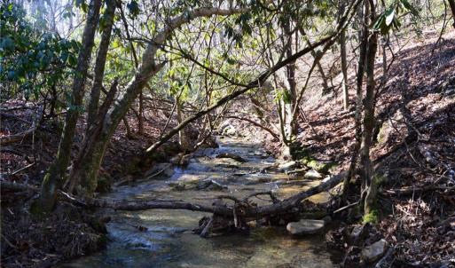 Photo #1 of 1344-1540 NC Highway 89, Danbury, NC 219.0 acres
