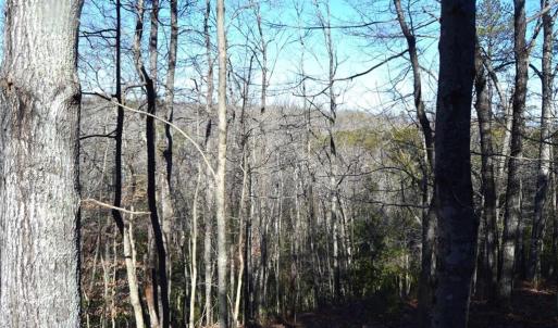 Photo #20 of 1344-1540 NC Highway 89, Danbury, NC 219.0 acres