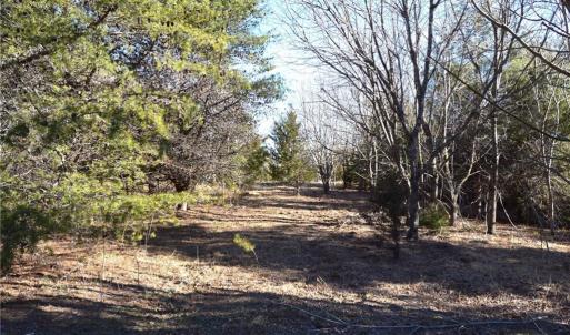 Photo #9 of 1344-1540 NC Highway 89, Danbury, NC 219.0 acres