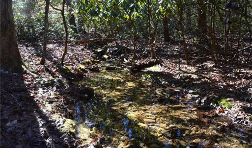 Photo #30 of 1344-1540 NC Highway 89, Danbury, NC 219.0 acres
