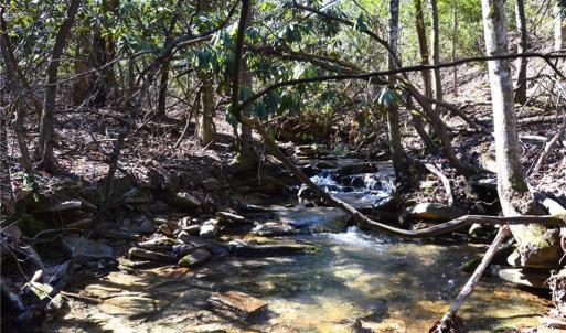 Photo #34 of 1344-1540 NC Highway 89, Danbury, NC 219.0 acres