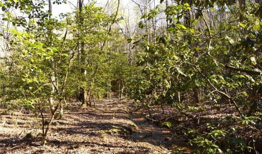 Photo #33 of 1344-1540 NC Highway 89, Danbury, NC 219.0 acres