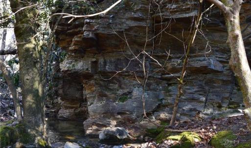 Photo #14 of 1344-1540 NC Highway 89, Danbury, NC 219.0 acres