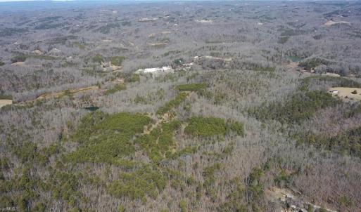 Photo #41 of 1344-1540 NC Highway 89, Danbury, NC 219.0 acres