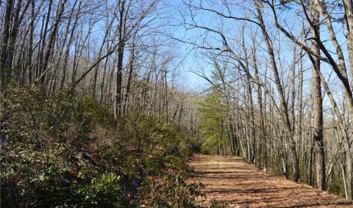 Photo #37 of 1344-1540 NC Highway 89, Danbury, NC 219.0 acres