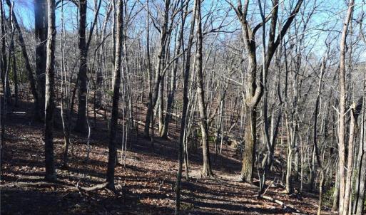 Photo #19 of 1344-1540 NC Highway 89, Danbury, NC 219.0 acres