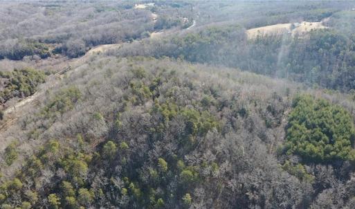 Photo #40 of 1344-1540 NC Highway 89, Danbury, NC 219.0 acres