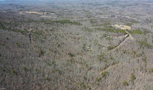 Photo #39 of 1344-1540 NC Highway 89, Danbury, NC 219.0 acres