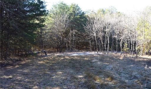 Photo #8 of 1344-1540 NC Highway 89, Danbury, NC 219.0 acres
