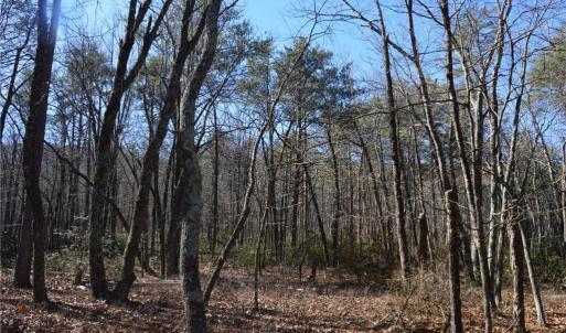 Photo #25 of 1344-1540 NC Highway 89, Danbury, NC 219.0 acres