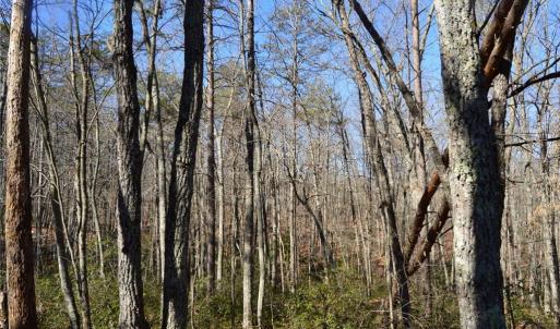 Photo #7 of 1010-1372 Hanging Rock Park, Danbury, NC 118.0 acres
