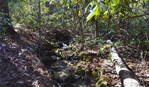 Photo #9 of 1010-1372 Hanging Rock Park, Danbury, NC 118.0 acres