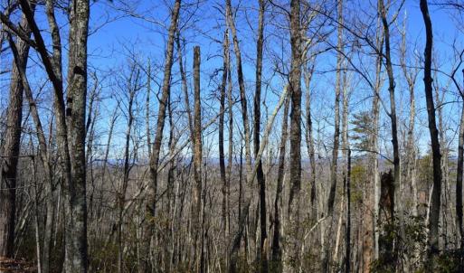 Photo #11 of 1010-1372 Hanging Rock Park, Danbury, NC 118.0 acres