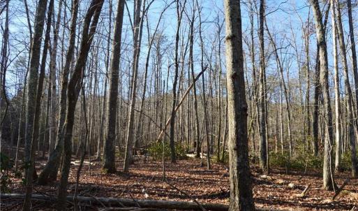 Photo #2 of 1010-1372 Hanging Rock Park, Danbury, NC 118.0 acres