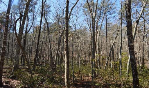Photo #6 of 1010-1372 Hanging Rock Park, Danbury, NC 118.0 acres