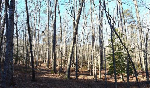 Photo #1 of 1010-1372 Hanging Rock Park, Danbury, NC 118.0 acres