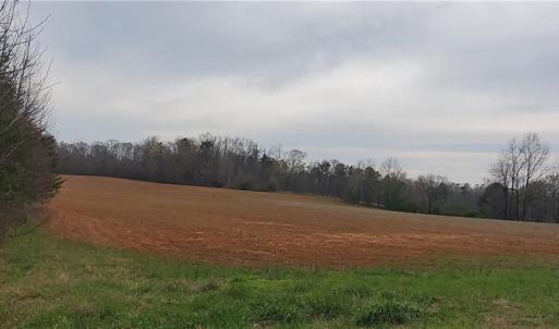 Photo #4 of Sells Farm, Winston-Salem, NC 25.0 acres
