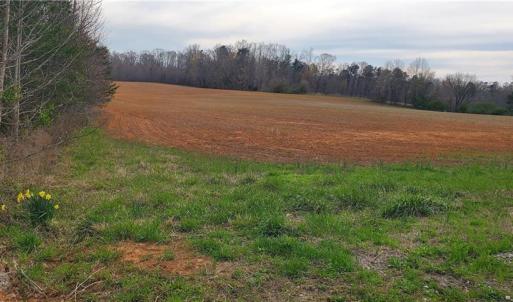 Photo #1 of Sells Farm, Winston-Salem, NC 25.0 acres