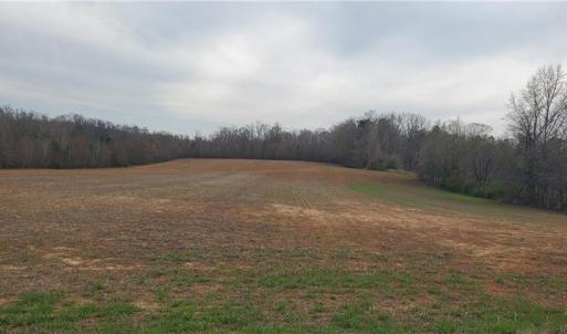 Photo #8 of Sells Farm, Winston-Salem, NC 25.0 acres