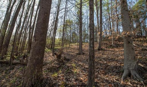 Photo #18 of Lot 38 Lake Shore, Yanceyville, NC 4.6 acres