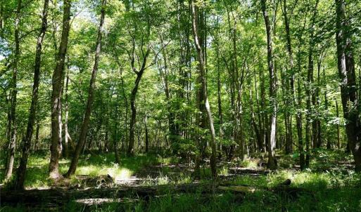 Photo #26 of 48.48 Acres Valley, Winston-Salem, NC 48.5 acres