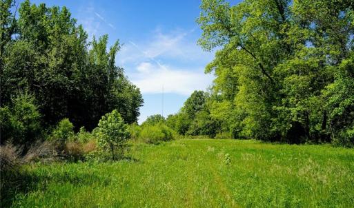 Photo #22 of 48.48 Acres Valley, Winston-Salem, NC 48.5 acres