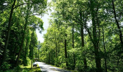 Photo #9 of 48.48 Acres Valley, Winston-Salem, NC 48.5 acres