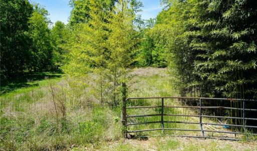 Photo #11 of 48.48 Acres Valley, Winston-Salem, NC 48.5 acres
