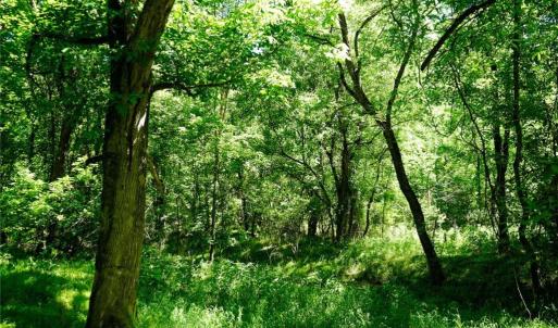 Photo #25 of 48.48 Acres Valley, Winston-Salem, NC 48.5 acres